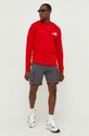 Karl Kani szorty 6013396 szary AW23