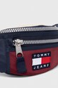 Аксесоари Чанта за кръст Tommy Jeans AM0AM11659 многоцветен