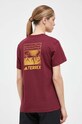 Tričko adidas TERREX Graphic Altitude burgundské IL2645