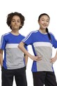 adidas t-shirt bawełniany dziecięcy wzorzyste niebieski IJ8732