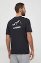 Одежда Футболка adidas TERREX Graphic MTN 2.0 II6060 чёрный