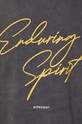 Represent t-shirt bawełniany Enduring Spirit MT4020.20 szary