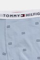 Детски боксерки Tommy Hilfiger (7 чифта) UB0UB00552.9BYH
