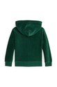 Polo Ralph Lauren felpa per bambini 322952461002 verde AW24