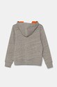 Хлопчик Дитяча кофта Polo Ralph Lauren 323952520001 сірий