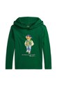 Detská bavlnená mikina Polo Ralph Lauren bavlna zelená 323952591001