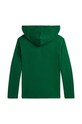 Detská bavlnená mikina Polo Ralph Lauren 323952591001 zelená AW24