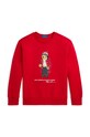 Детская кофта Polo Ralph Lauren остальные красный 323960439001
