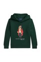 Polo Ralph Lauren bluza copii print verde 323960440003