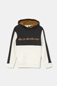 Quiksilver bluza dziecięca KNOWLEDGE AREA HOOD wzorzyste szary EQBFT03885