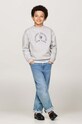 Мальчик Детская кофта Tommy Hilfiger KB0KB09192.9BYH.128.176 серый