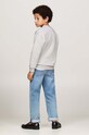 Детская кофта Tommy Hilfiger серый KB0KB09192.9BYH.128.176