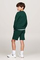 Детская кофта Tommy Hilfiger KB0KB09194.9BYH.128.176 зелёный