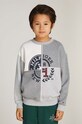 Детская кофта Tommy Hilfiger остальные серый KB0KB09380.9BYH.