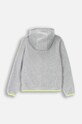Дитяча кофта Lemon Explore ZL4132501ACB сірий AW24