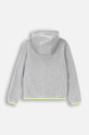 Detská mikina Lemon Explore ZL4132501ACB sivá AW24