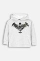 Coccodrillo bluza dziecięca nadruk szary ZC4132301LBW