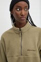 Fleecová mikina Dickies PINESDALE zelená DK0A864J