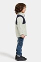 Детская куртка из флиса Didriksons GOSIG KIDS HALFZIP 505536