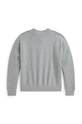 Девочка Детская кофта Polo Ralph Lauren 313950960002 серый