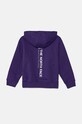 Detská mikina The North Face VERTICAL GRAPHIC OVERSIZED HOODIE NF0A89HDNL41 fialová AW24