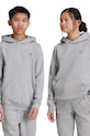 adidas Originals bluza dziecięca HOODIE z kapturem szary IX5285
