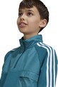 adidas Originals hanorac de bumbac pentru copii HZ CREW IY0012 turcoaz