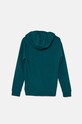 Хлопчик Дитяча кофта adidas Originals TREFOIL HOODIE IY7440 бірюзовий