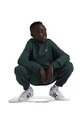 Παιδική μπλούζα adidas Originals HOODIE πράσινο IY9555