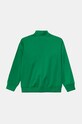 Dječaci Dječja dukserica adidas Originals FIREBIRD TOP IY9801 zelena