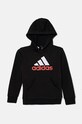 adidas bluza copii U BL 2 HOODIE IV7323 negru AW24