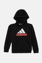 Дитяча кофта adidas U BL 2 HOODIE IV7323 чорний AW24