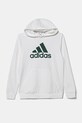 Детская кофта adidas U BL HOODIE IV7325 белый AW24