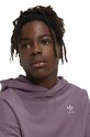 Dječja pamučna dukserica adidas Originals HOODIE IX7616