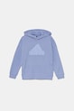 Mikina adidas U FI LOGO HD IX3642 fialová AW24