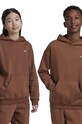 adidas Originals bluza dziecięca HOODIE z kapturem brązowy IY9553