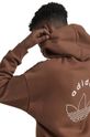Dječja dukserica adidas Originals HOODIE IY9553