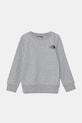 The North Face bluza dziecięca REDBOX REGULAR CREW pozostałe szary NF0A89H7DYX1