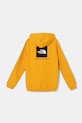 Детски суичър The North Face REDBOX REGULAR P/O HOODIE NF0A89H956P1 жълт AW24
