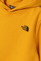 Băieți The North Face bluza copii REDBOX REGULAR P/O HOODIE NF0A89H956P1 galben