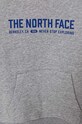 Băieți The North Face bluza copii VARSITGRAPHIC RELAXED HOODIE NF0A89HBDYX1 gri