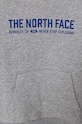 Chlapec Detská mikina The North Face VARSITGRAPHIC RELAXED HOODIE NF0A89HBDYX1 sivá