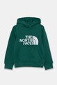 The North Face bluza copii DREW PEAK P/O HOODIE imprimeu verde NF0A89HHNL11