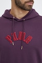 Хлопковая кофта Puma Classics Play Paris Hoodie 626766 фиолетовой