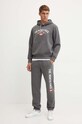 The North Face bluza Hoodie Varsity Graphic NF0A89DJDYY1 gri AW24
