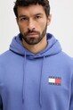 Oblečenie Mikina Tommy Jeans DM0DM20738 modrá