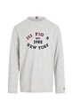 Detská bavlnená košeľa s dlhým rukávom Tommy Hilfiger KB0KB08659.9BYH.92.122 sivá AW24