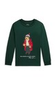 Detská bavlnená mikina Polo Ralph Lauren bavlna zelená 322883620009