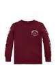 Otroška bombažna majica z dolgimi rokavi Tommy Hilfiger KB0KB09384.9BYH.128.176 bordo AW24