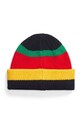 Polo Ralph Lauren wool beanie 455954362 multicolor AW24